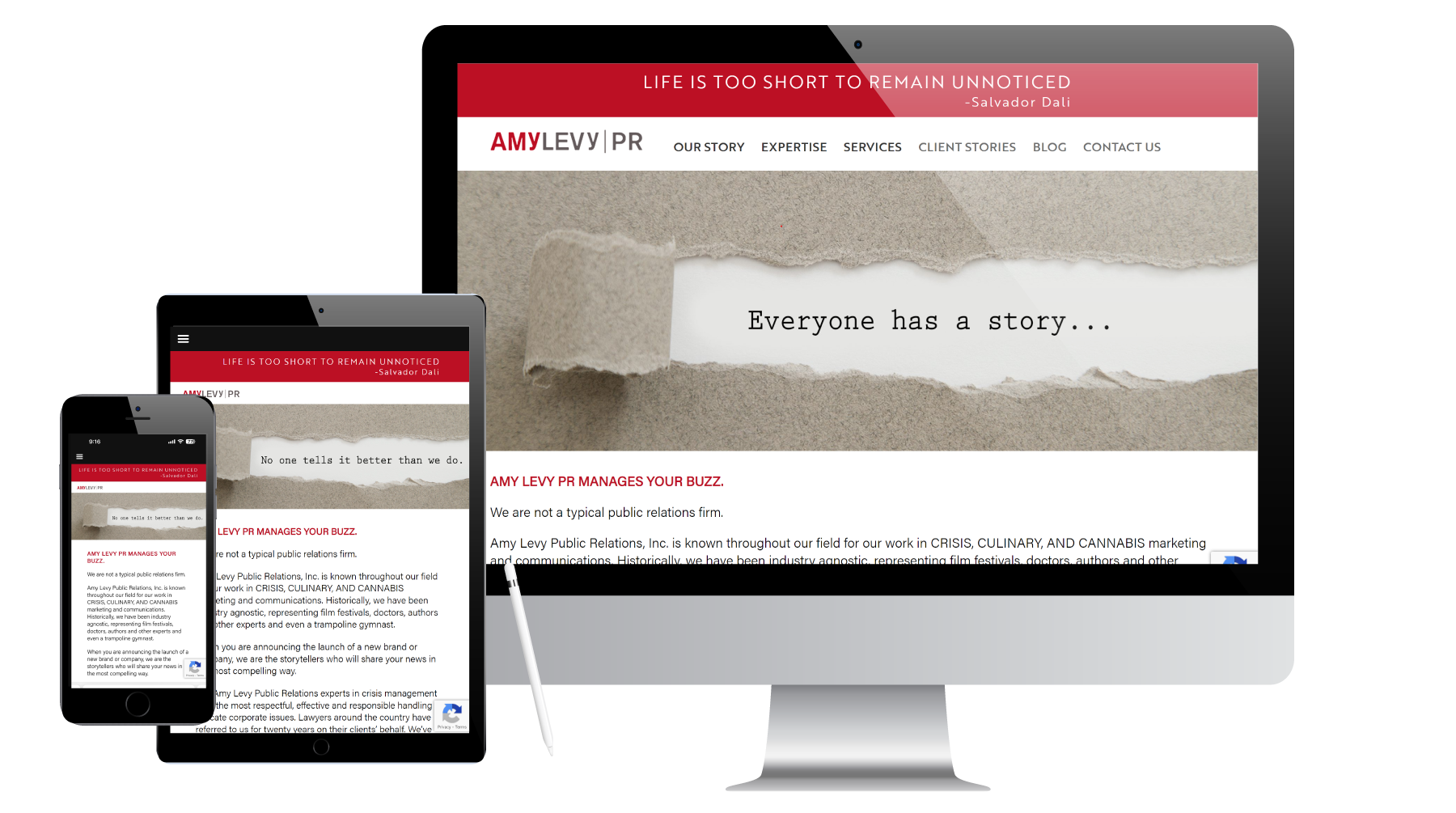 Amy Levy Public Relations - What A Great Website